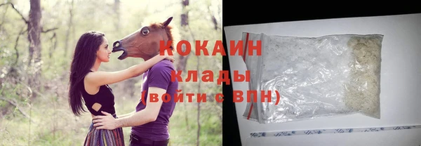 молекула духа Краснослободск