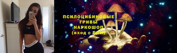 молекула духа Краснослободск