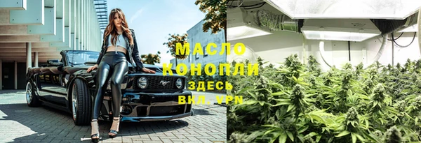 молекула духа Краснослободск