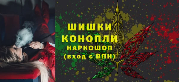 молекула духа Краснослободск