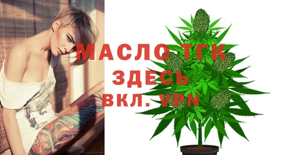 молекула духа Краснослободск