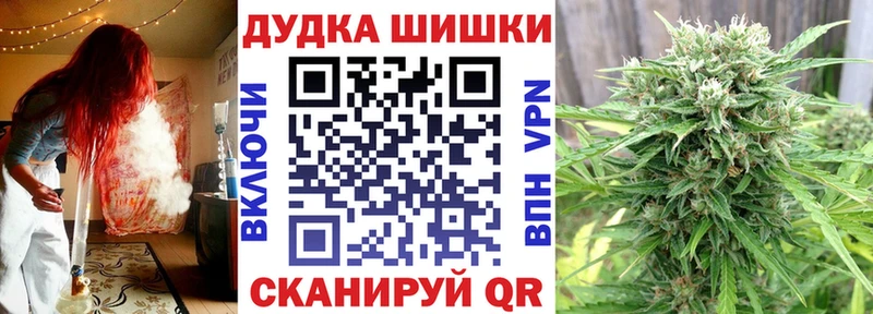 Каннабис семена Купить Новокубанск